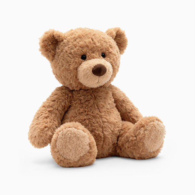 Brown AI toy teddy bear on a white background